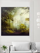 Glorious Woods by Dirk Wuestenhagen on GIANT ART - multicolor photography; landscapes