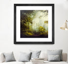 Glorious Woods by Dirk Wuestenhagen on GIANT ART - multicolor photography; landscapes