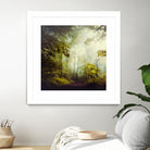 Glorious Woods by Dirk Wuestenhagen on GIANT ART - multicolor photography; landscapes