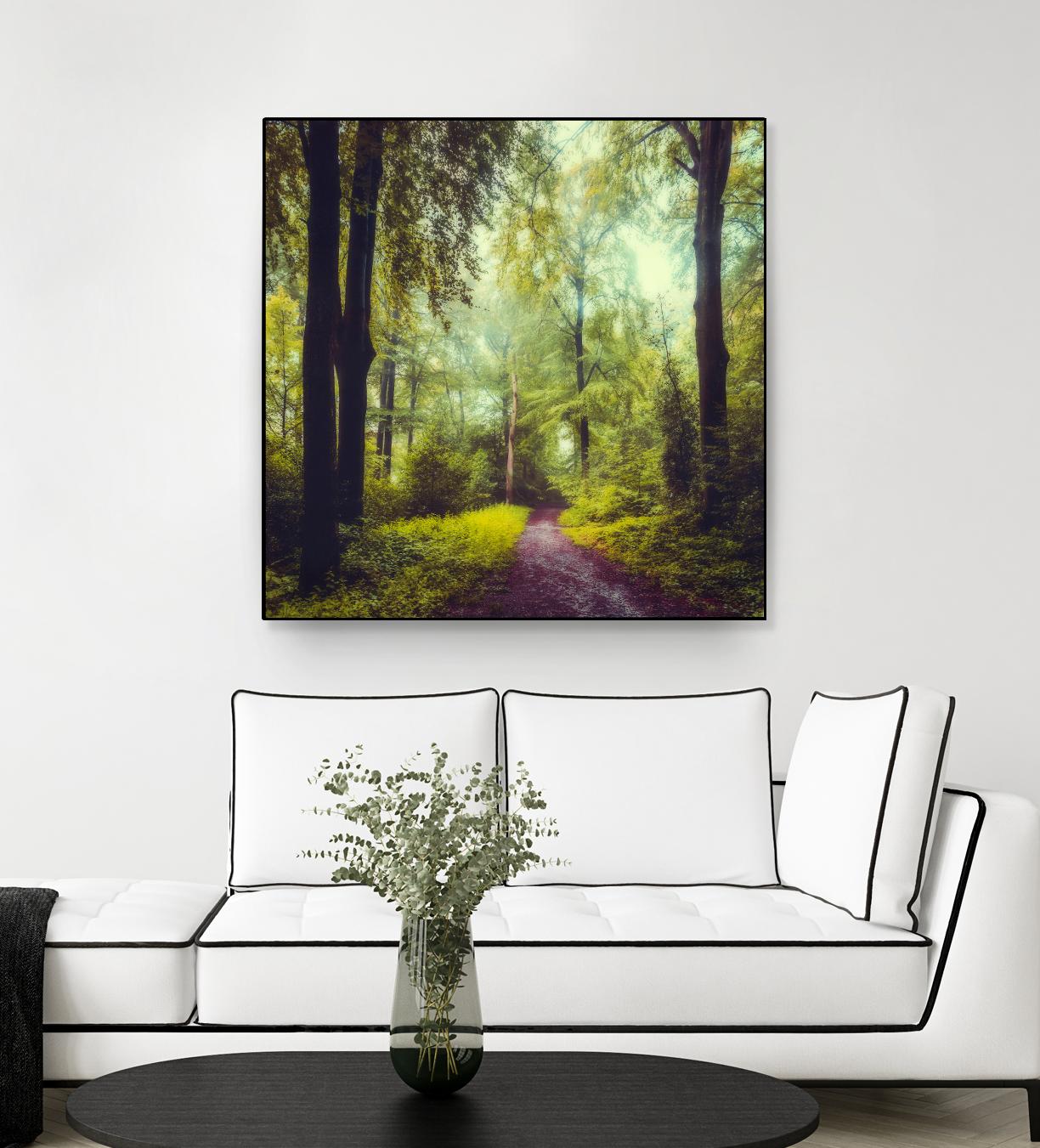Never the Same Again by Dirk Wuestenhagen on GIANT ART - multicolor photography; landscapes