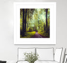 Never the Same Again by Dirk Wuestenhagen on GIANT ART - multicolor photography; landscapes