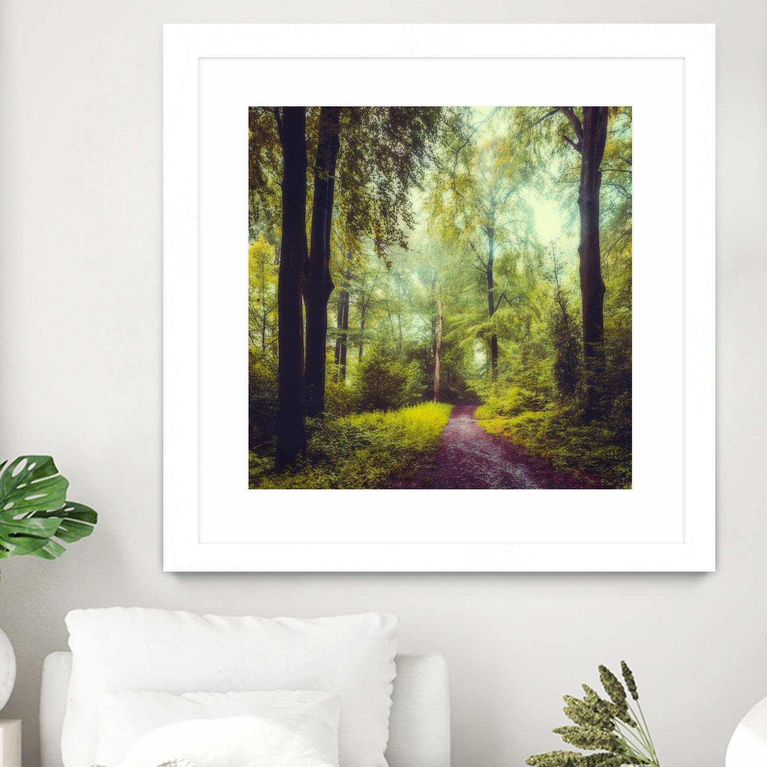 Never the Same Again by Dirk Wuestenhagen on GIANT ART - multicolor photography; landscapes