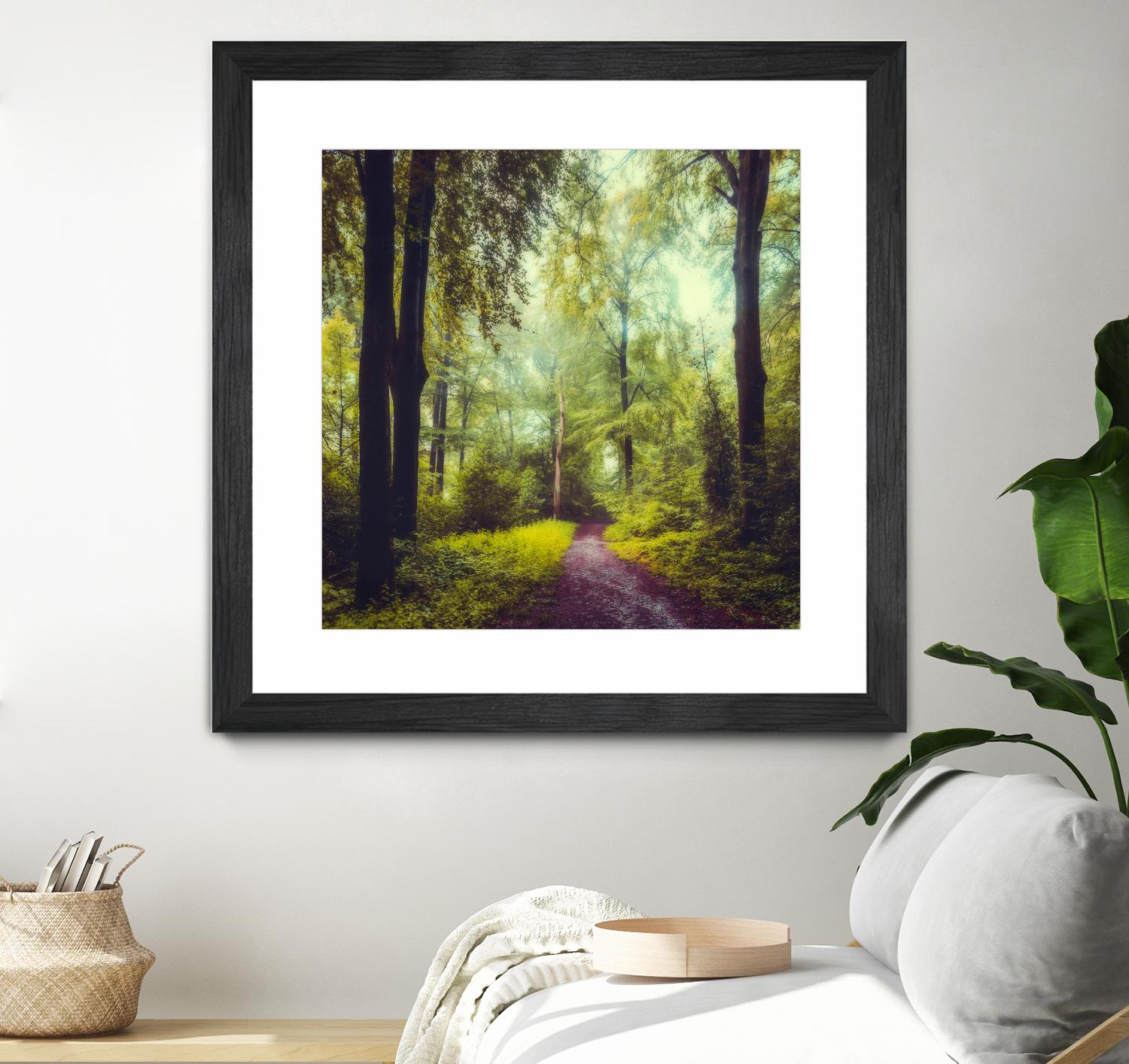 Never the Same Again by Dirk Wuestenhagen on GIANT ART - multicolor photography; landscapes
