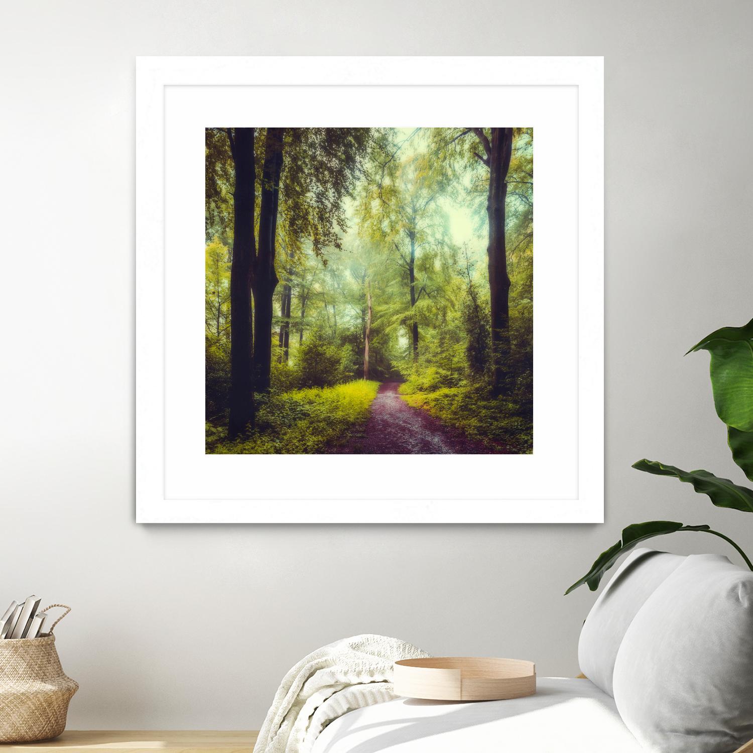 Never the Same Again by Dirk Wuestenhagen on GIANT ART - multicolor photography; landscapes