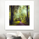 Never the Same Again by Dirk Wuestenhagen on GIANT ART - multicolor photography; landscapes