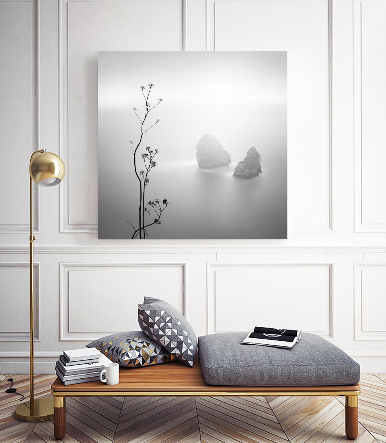 Misty Rocks by Alexandre Manuel on GIANT ART - grey landscape