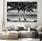 Summer Breezes I by Dennis Frates on GIANT ART - white tropical