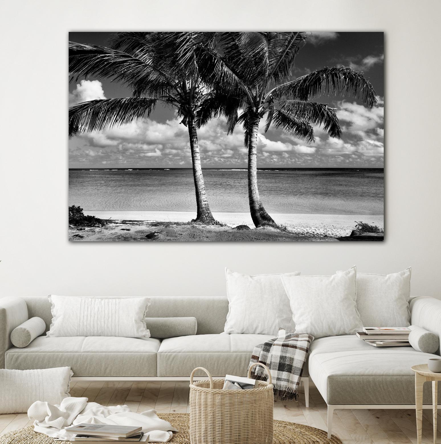 Summer Breezes I by Dennis Frates on GIANT ART - white tropical