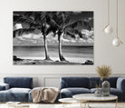 Summer Breezes I by Dennis Frates on GIANT ART - white tropical
