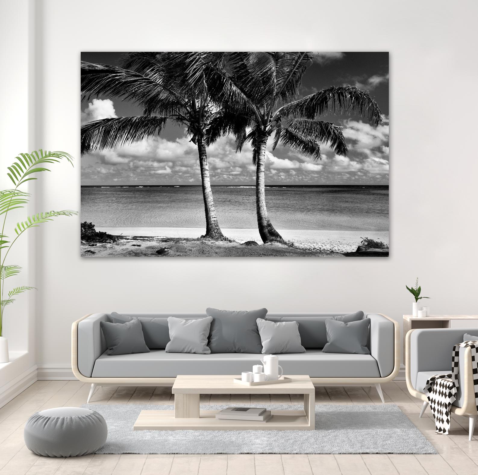 Summer Breezes I by Dennis Frates on GIANT ART - white tropical