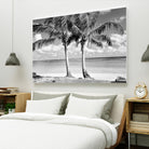 Summer Breezes I by Dennis Frates on GIANT ART - white tropical