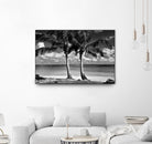 Summer Breezes I by Dennis Frates on GIANT ART - white tropical