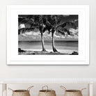 Summer Breezes I by Dennis Frates on GIANT ART - white tropical