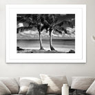 Summer Breezes I by Dennis Frates on GIANT ART - white tropical