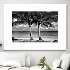 Summer Breezes I by Dennis Frates on GIANT ART - white tropical