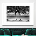 Summer Breezes I by Dennis Frates on GIANT ART - white tropical