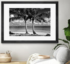 Summer Breezes I by Dennis Frates on GIANT ART - white tropical