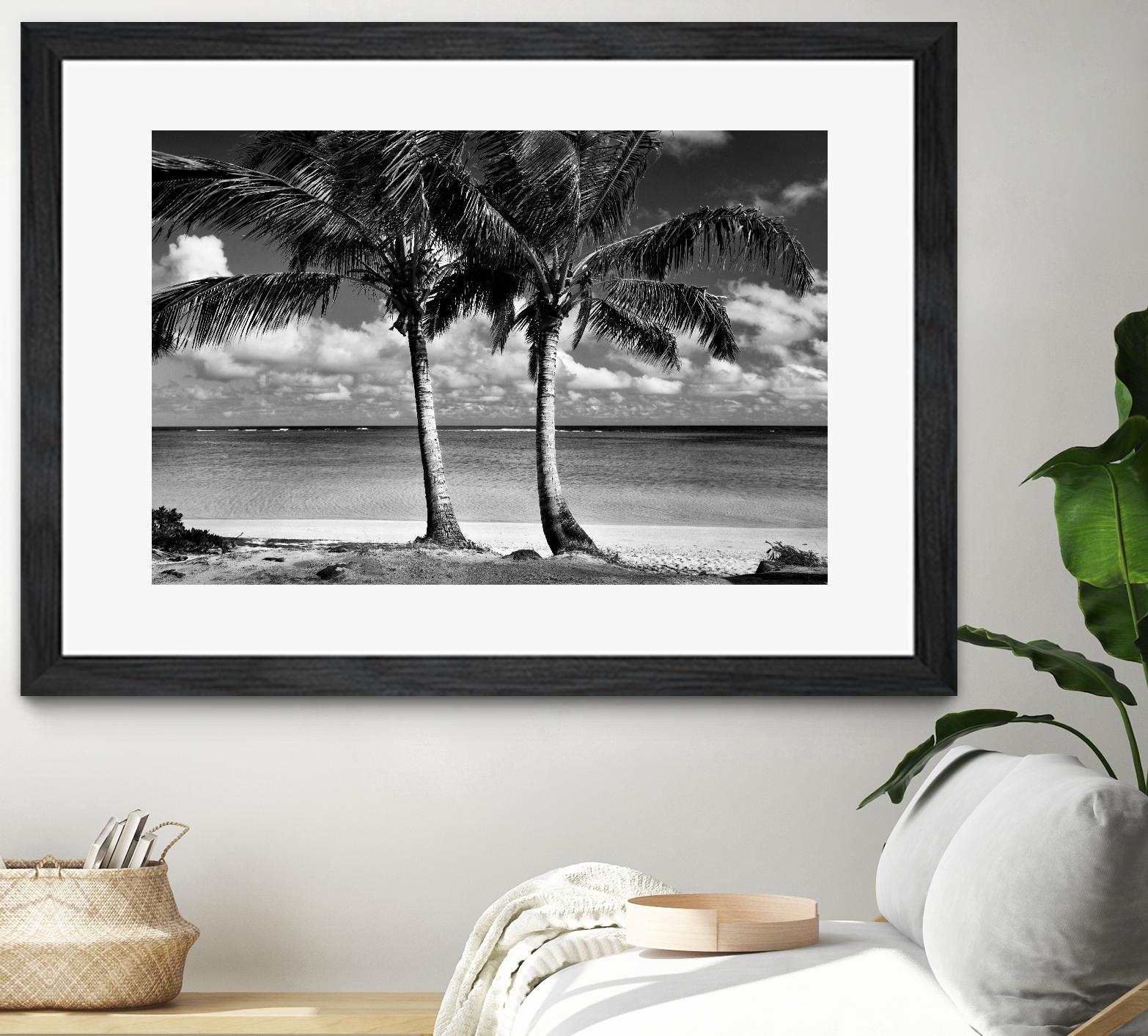 Summer Breezes I by Dennis Frates on GIANT ART - white tropical