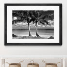 Summer Breezes I by Dennis Frates on GIANT ART - white tropical
