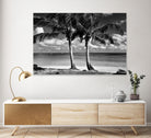 Summer Breezes I by Dennis Frates on GIANT ART - white tropical
