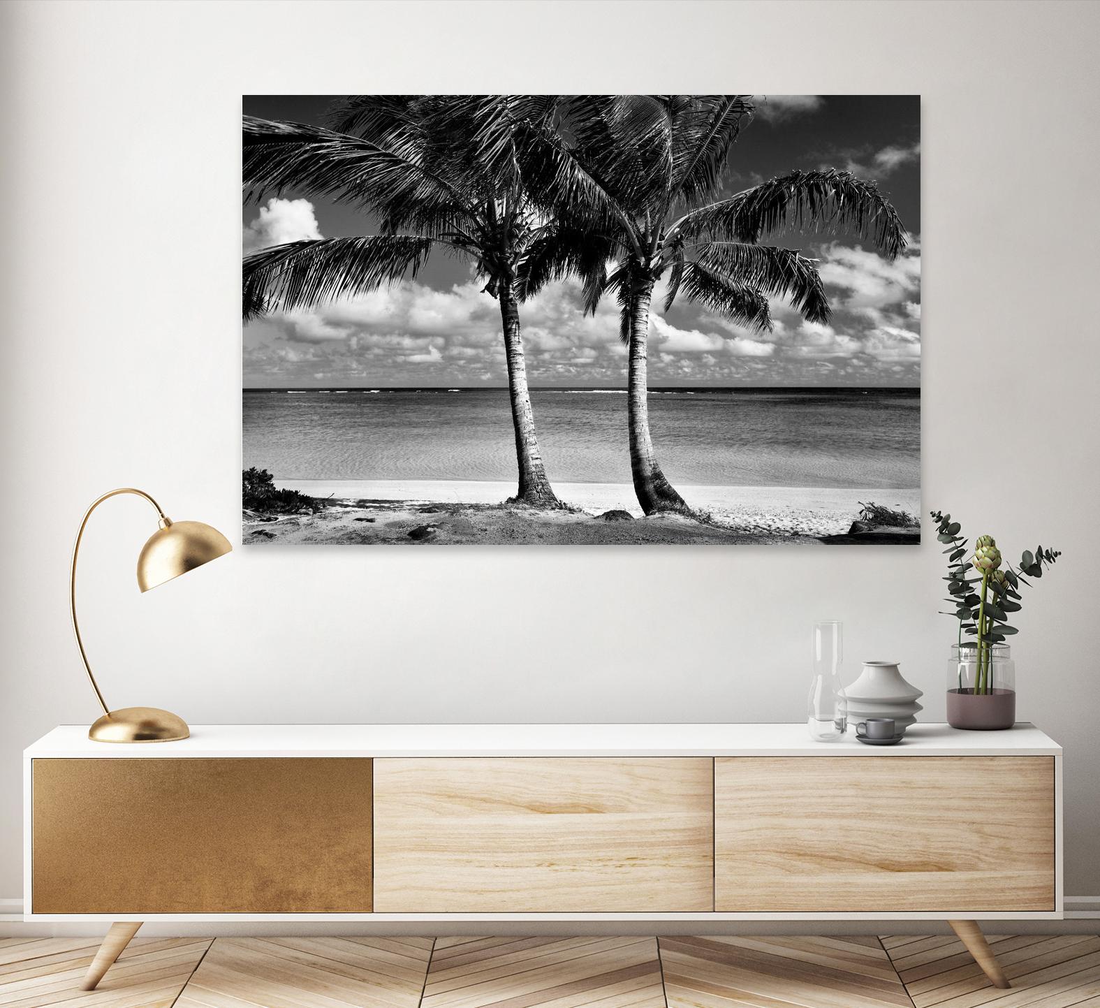 Summer Breezes I by Dennis Frates on GIANT ART - white tropical