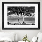 Summer Breezes I by Dennis Frates on GIANT ART - white tropical