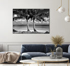 Summer Breezes I by Dennis Frates on GIANT ART - white tropical