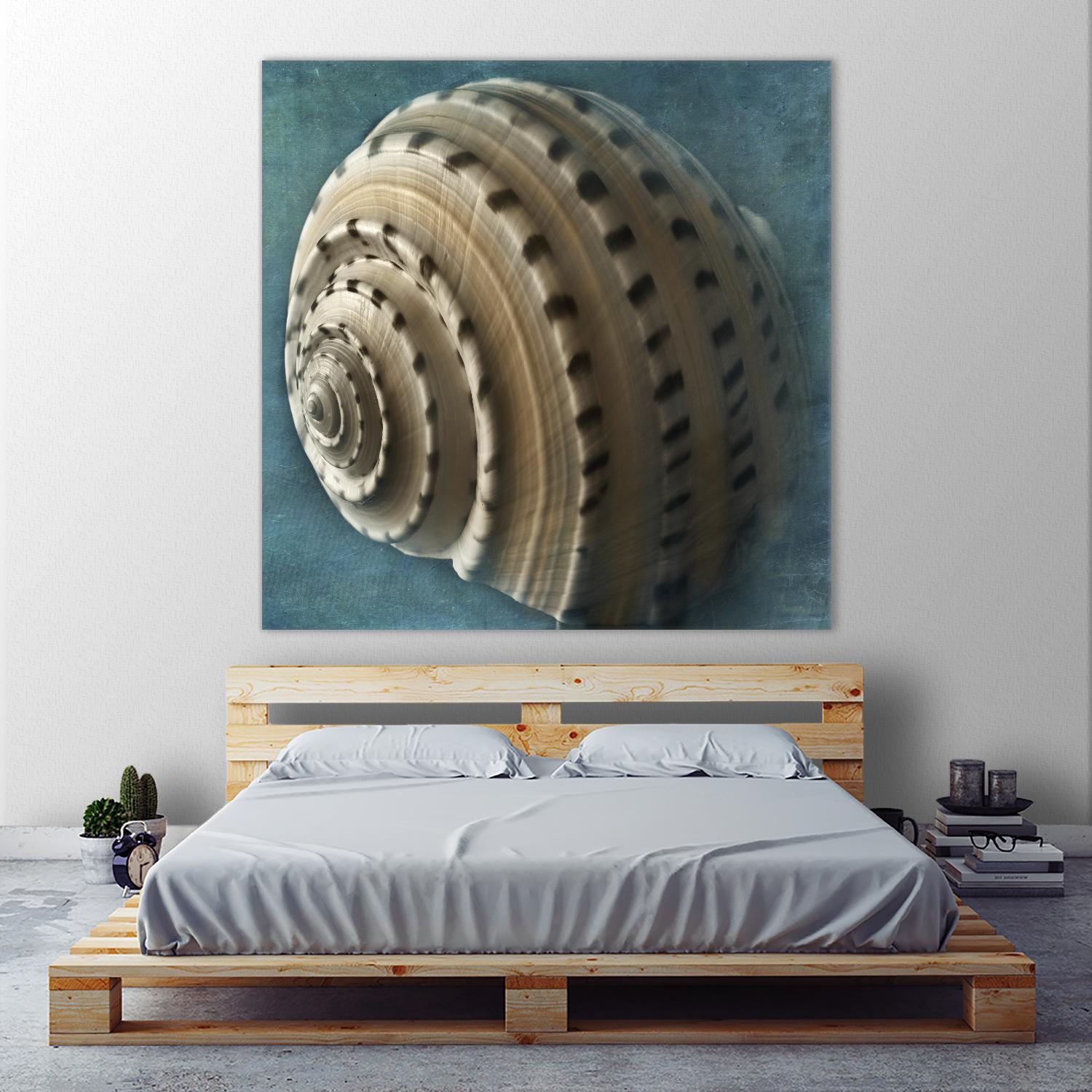 Three Shades of Blue Conch by Dennis Frates on GIANT ART - beige nautical