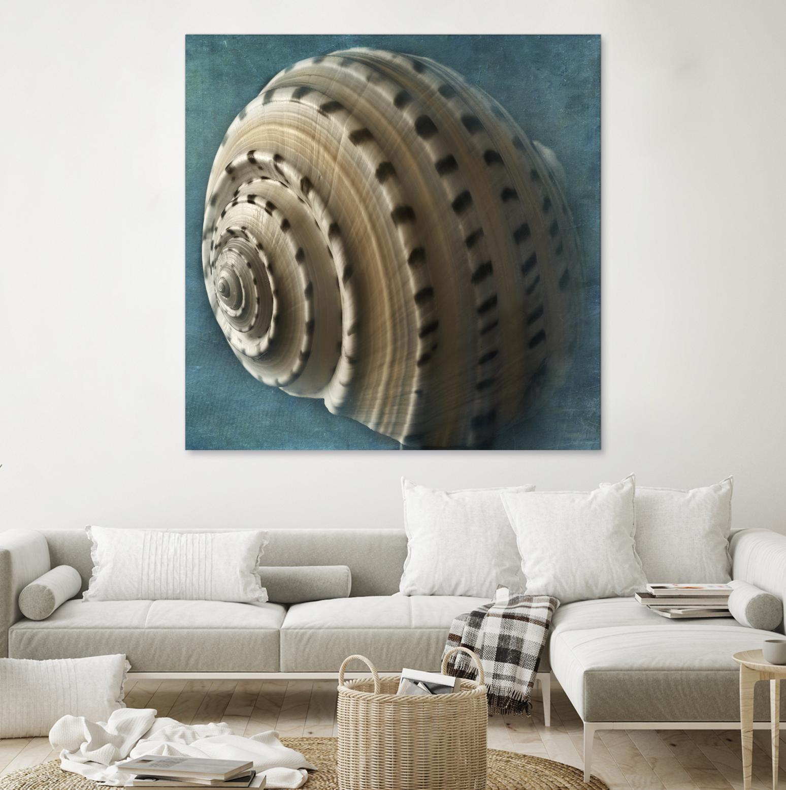 Three Shades of Blue Conch by Dennis Frates on GIANT ART - beige nautical