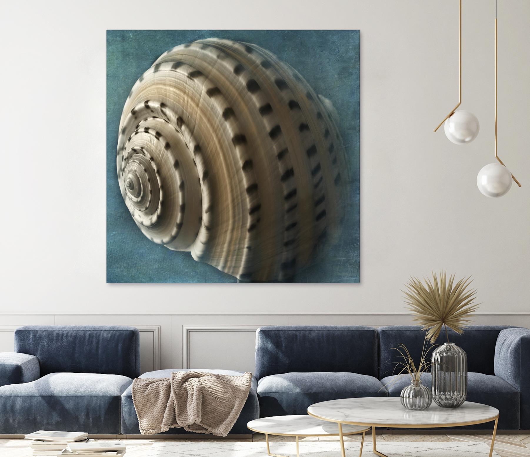 Three Shades of Blue Conch by Dennis Frates on GIANT ART - beige nautical
