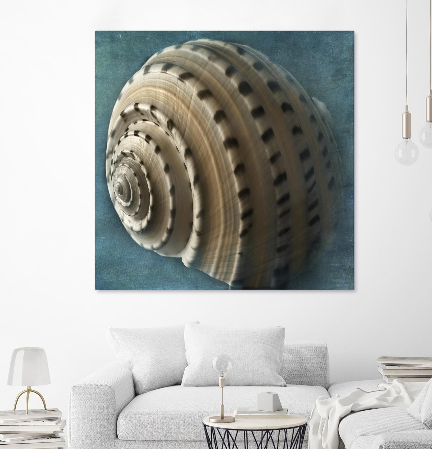 Three Shades of Blue Conch by Dennis Frates on GIANT ART - beige nautical