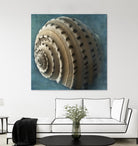 Three Shades of Blue Conch by Dennis Frates on GIANT ART - beige nautical