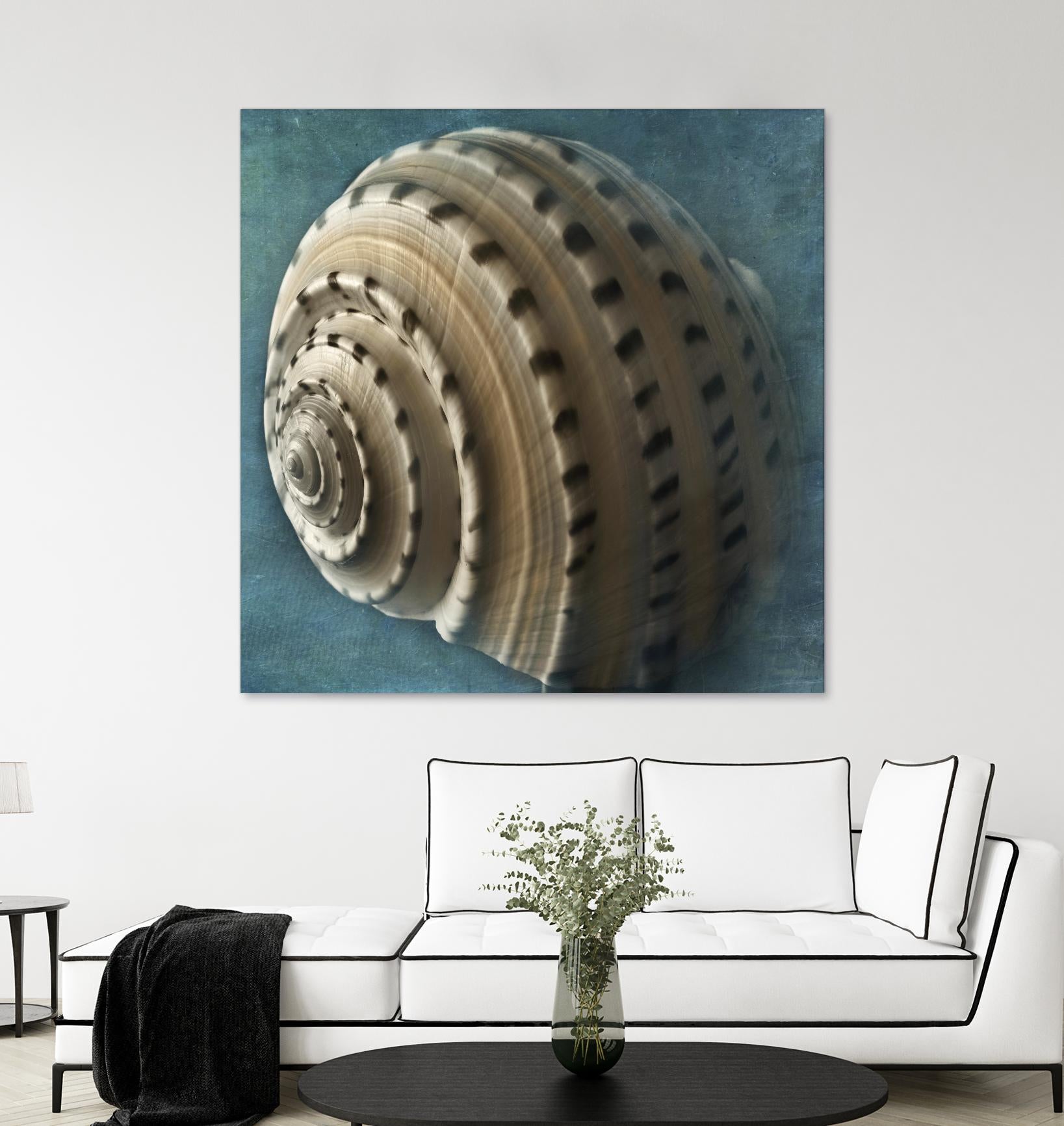 Three Shades of Blue Conch by Dennis Frates on GIANT ART - beige nautical