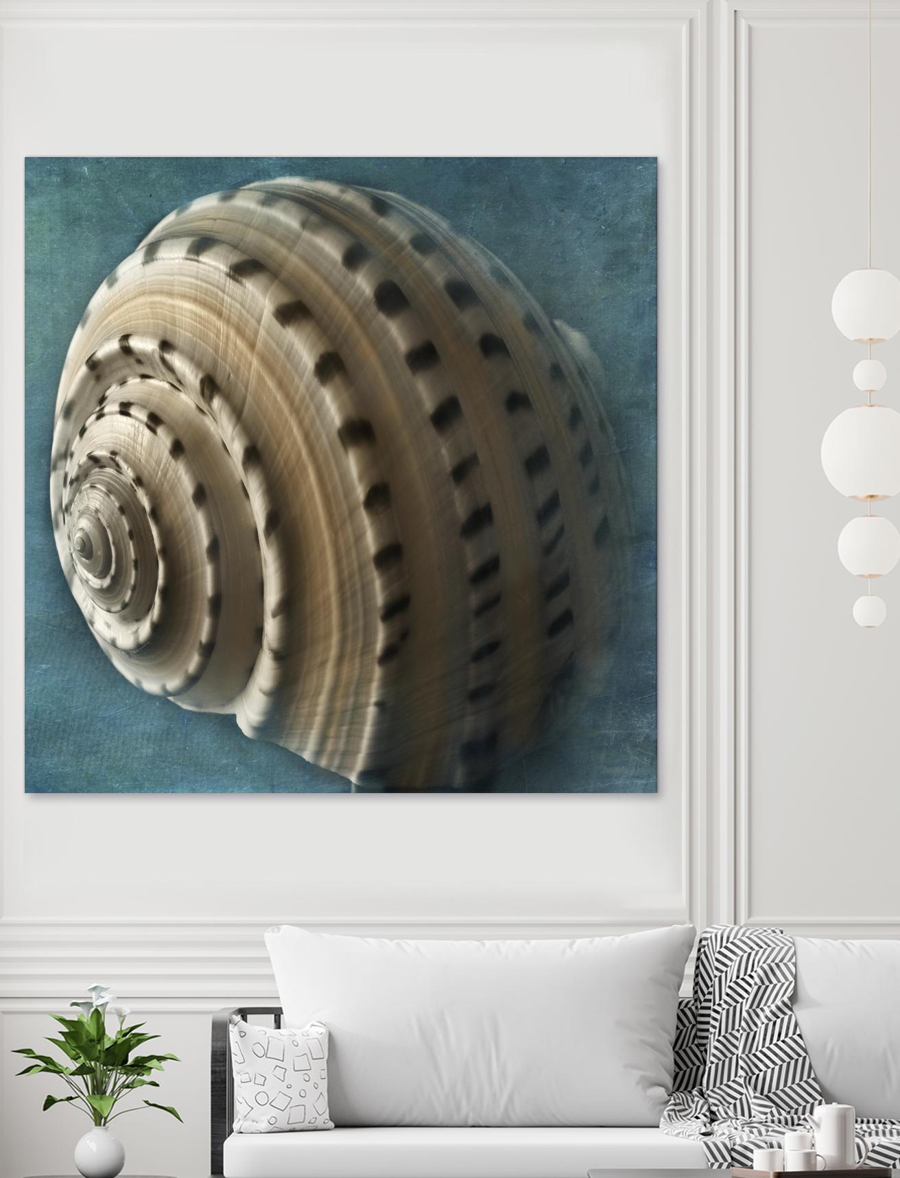Three Shades of Blue Conch by Dennis Frates on GIANT ART - beige nautical