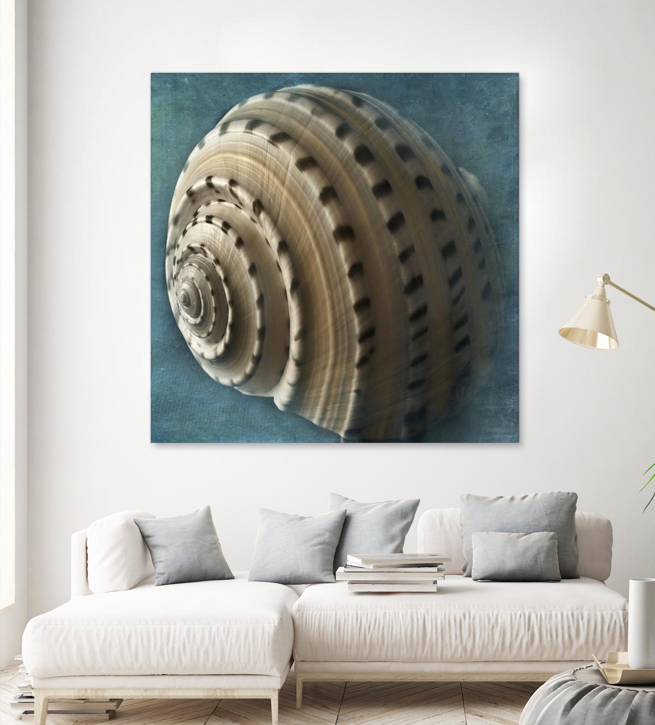 Three Shades of Blue Conch by Dennis Frates on GIANT ART - beige nautical