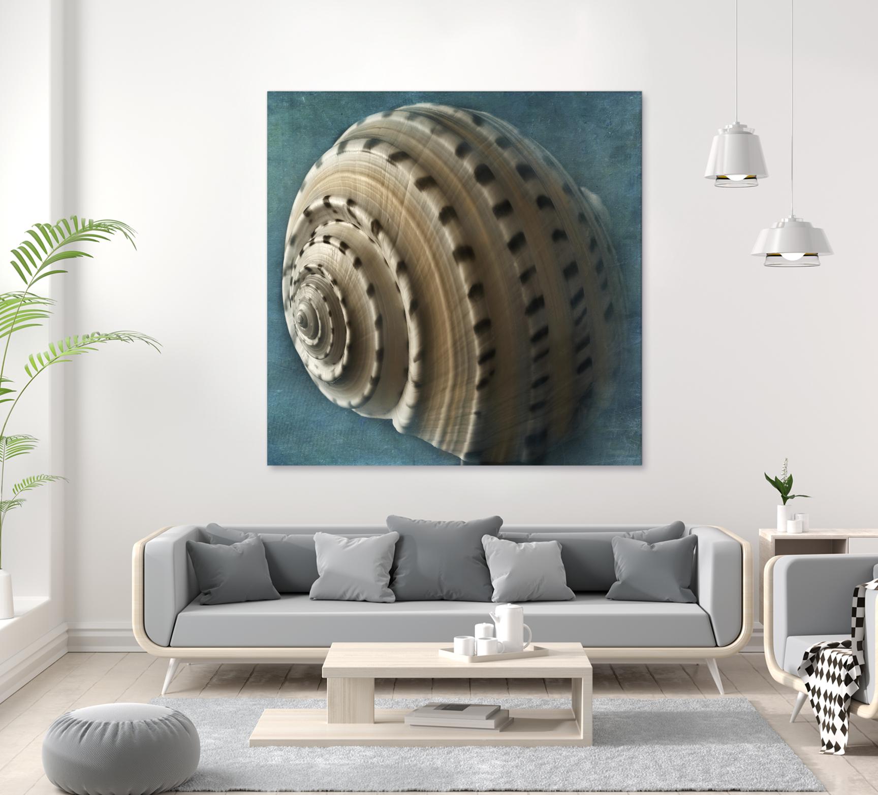 Three Shades of Blue Conch by Dennis Frates on GIANT ART - beige nautical