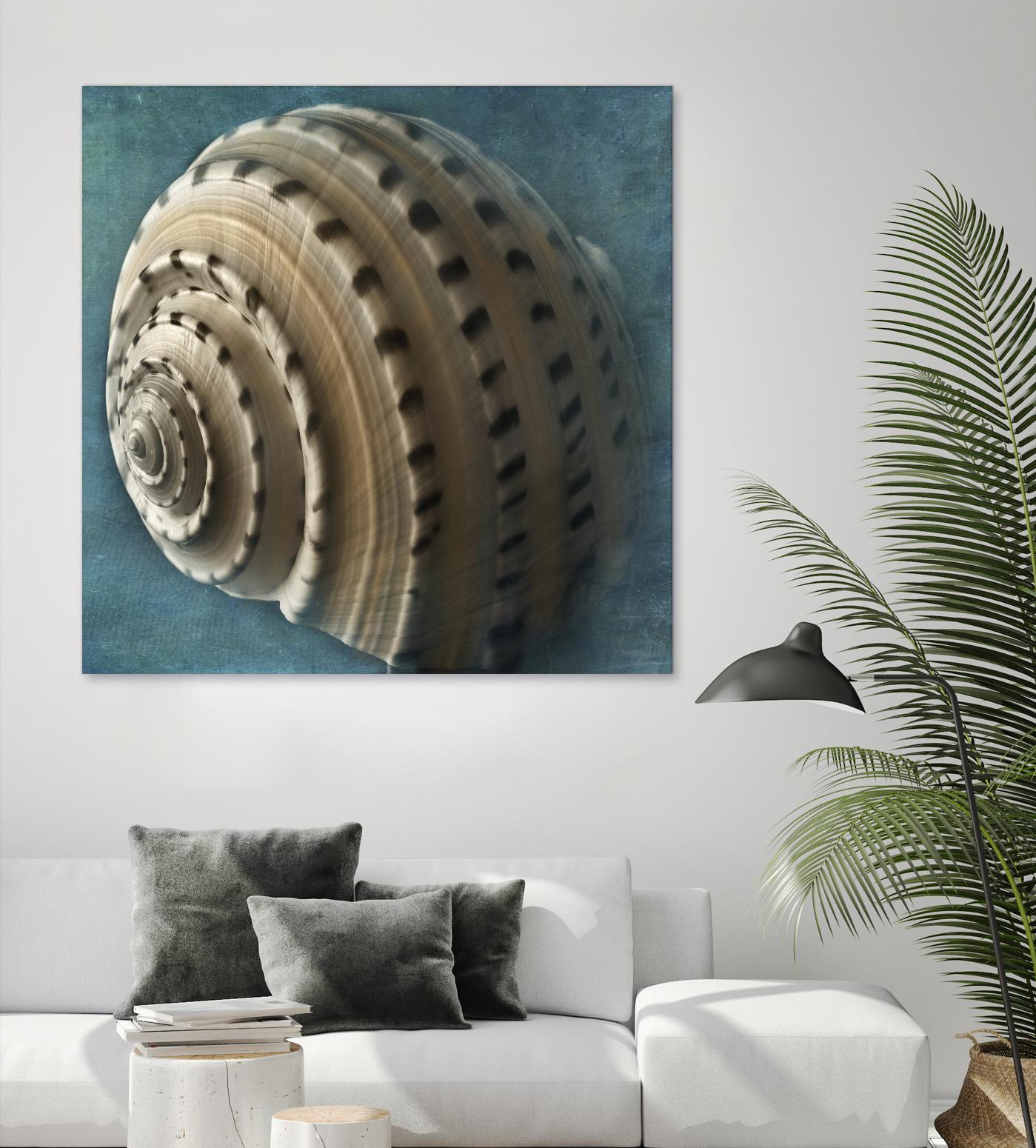 Three Shades of Blue Conch by Dennis Frates on GIANT ART - beige nautical