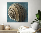 Three Shades of Blue Conch by Dennis Frates on GIANT ART - beige nautical