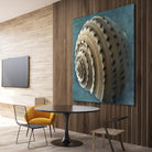 Three Shades of Blue Conch by Dennis Frates on GIANT ART - beige nautical