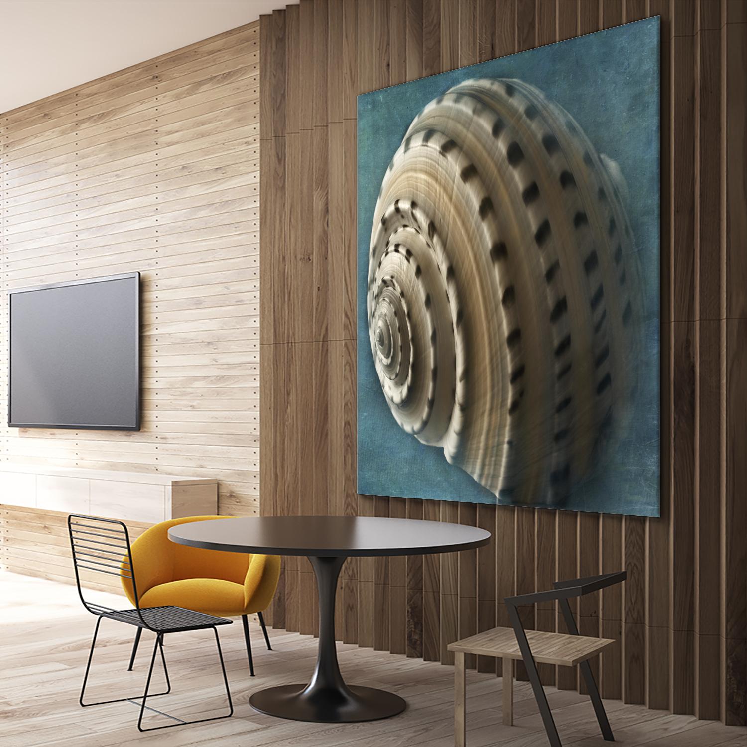 Three Shades of Blue Conch by Dennis Frates on GIANT ART - beige nautical