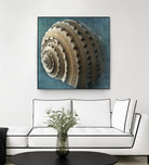 Three Shades of Blue Conch by Dennis Frates on GIANT ART - beige nautical