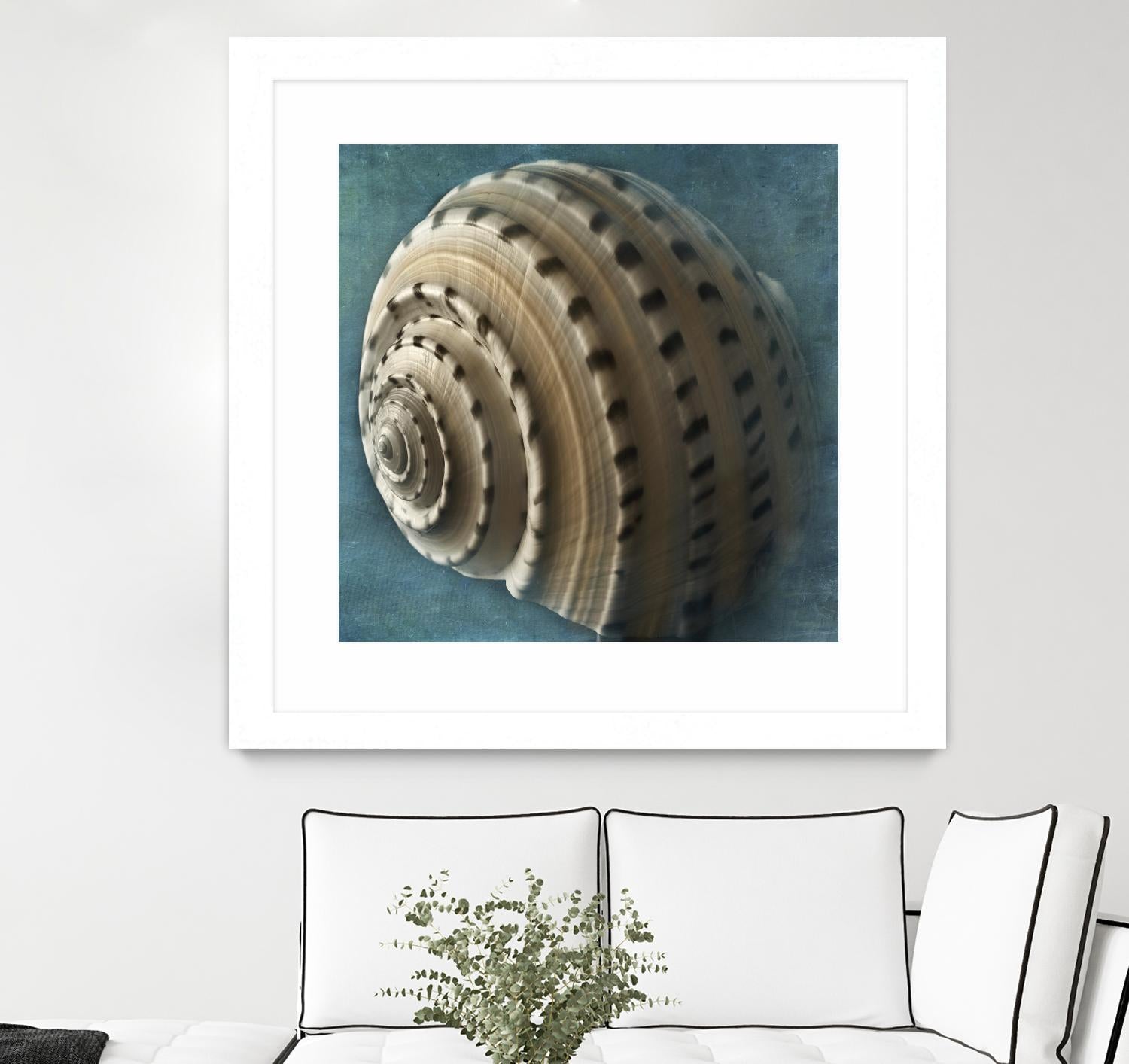 Three Shades of Blue Conch by Dennis Frates on GIANT ART - beige nautical