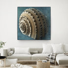 Three Shades of Blue Conch by Dennis Frates on GIANT ART - beige nautical