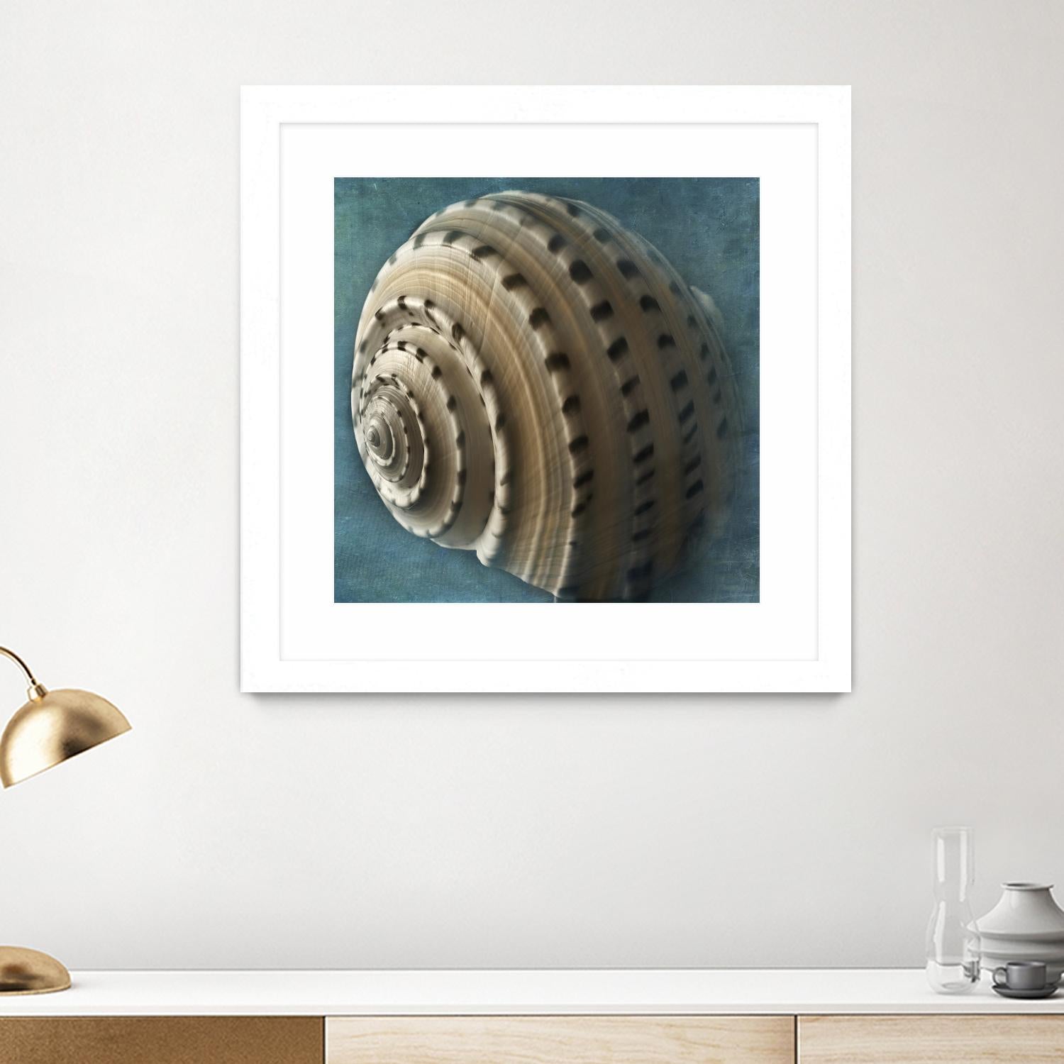 Three Shades of Blue Conch by Dennis Frates on GIANT ART - beige nautical