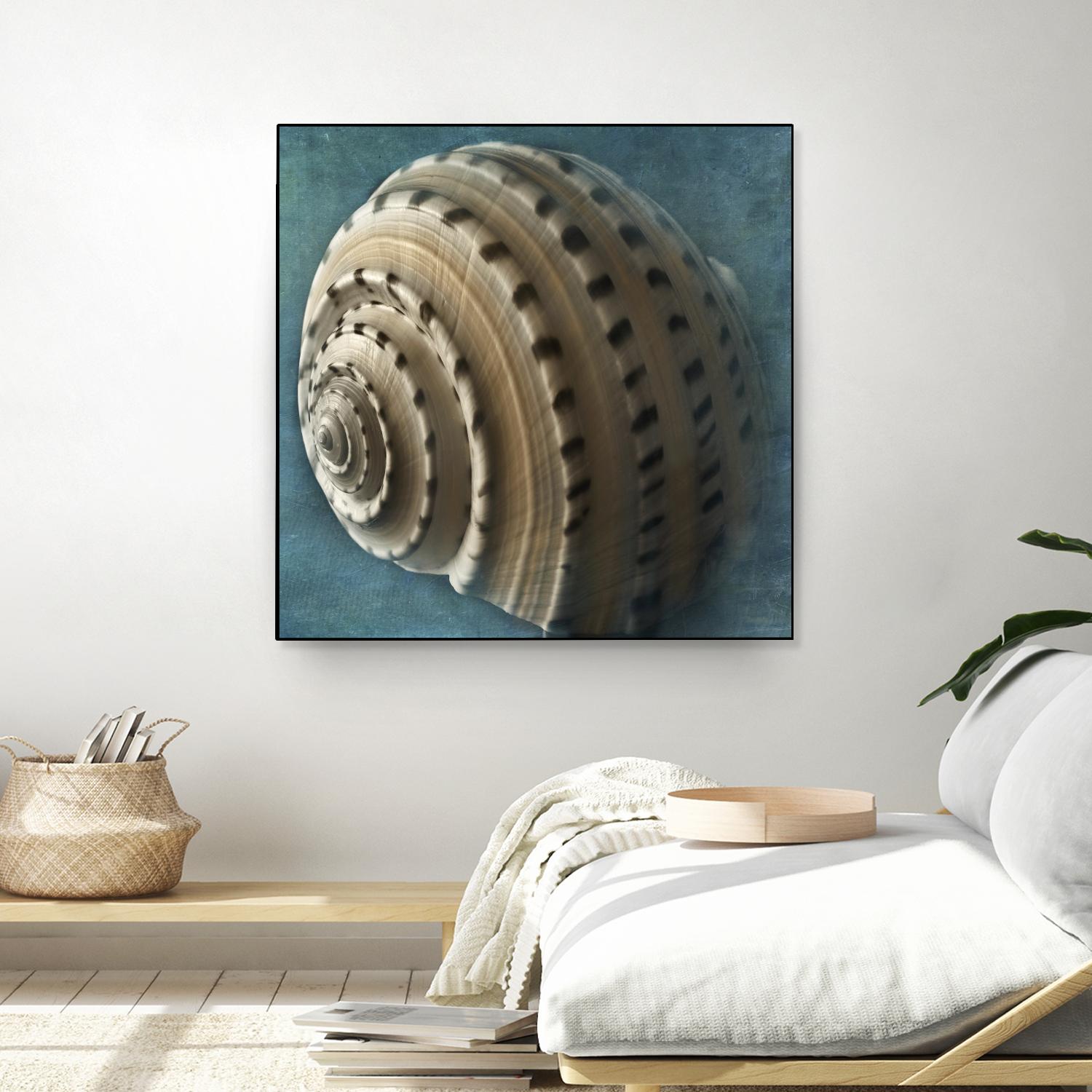 Three Shades of Blue Conch by Dennis Frates on GIANT ART - beige nautical