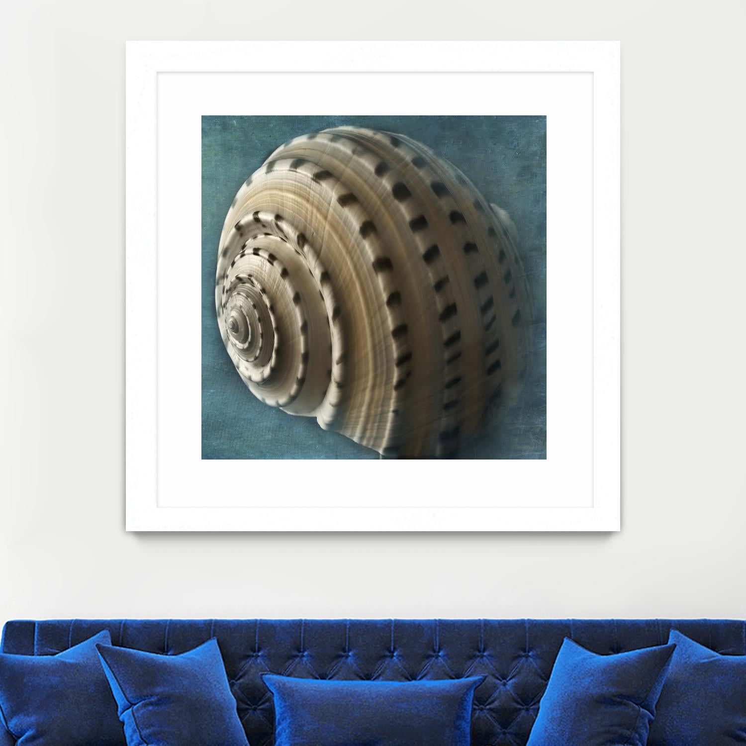 Three Shades of Blue Conch by Dennis Frates on GIANT ART - beige nautical