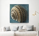 Three Shades of Blue Conch by Dennis Frates on GIANT ART - beige nautical