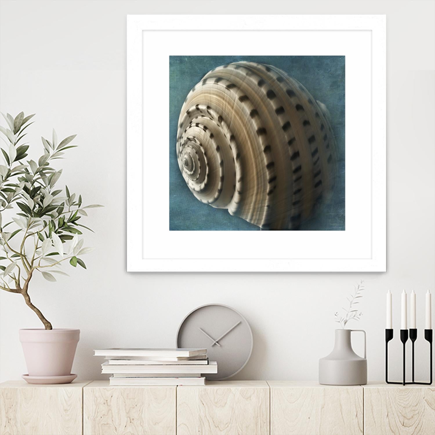 Three Shades of Blue Conch by Dennis Frates on GIANT ART - beige nautical