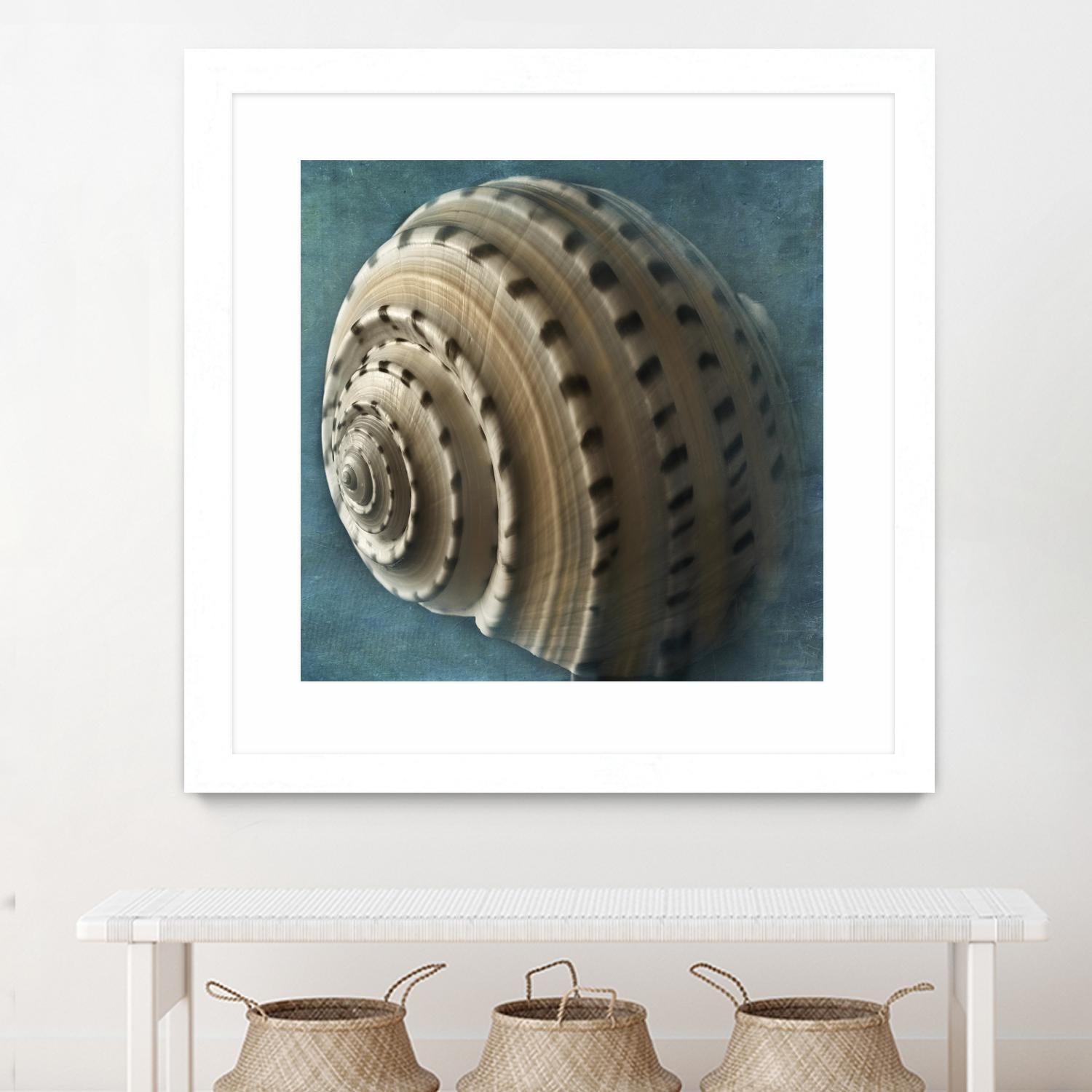 Three Shades of Blue Conch by Dennis Frates on GIANT ART - beige nautical