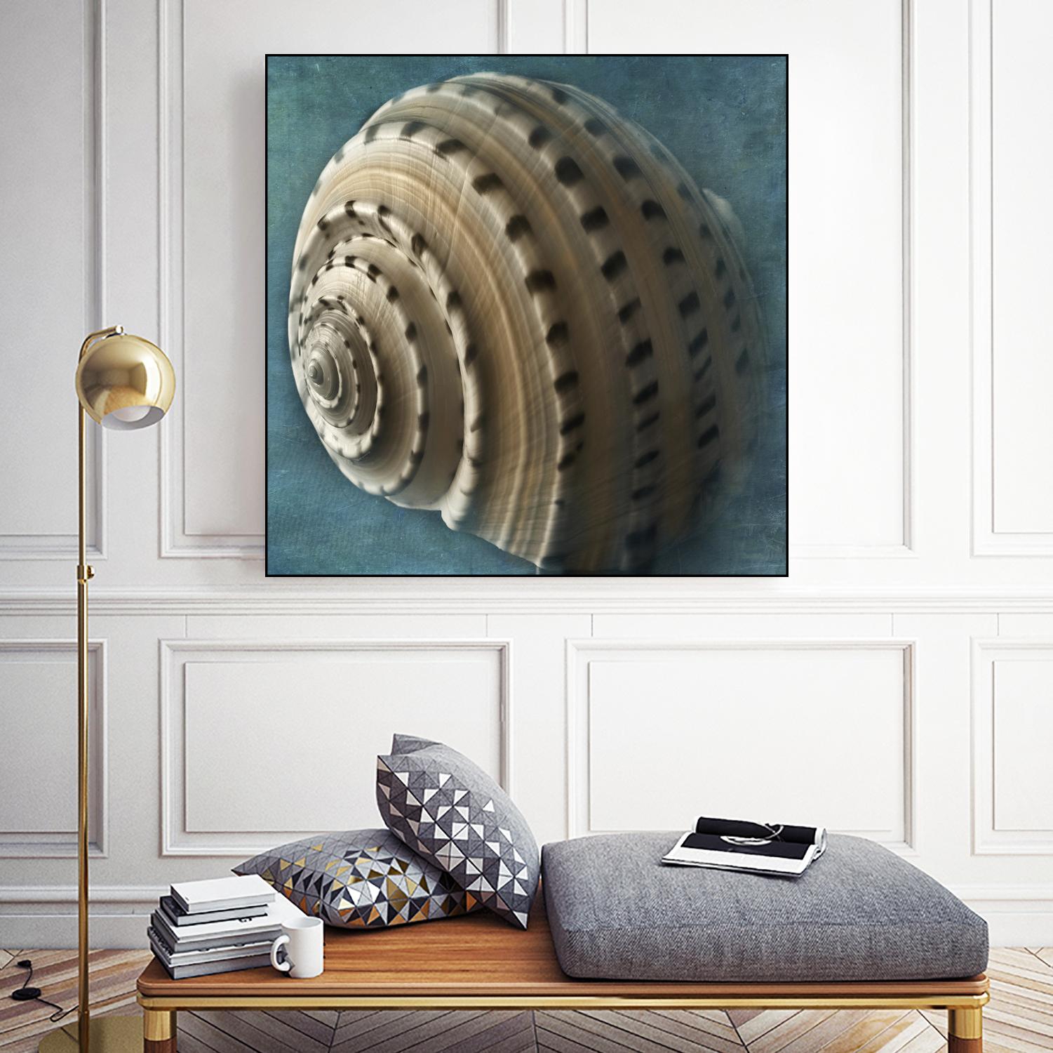 Three Shades of Blue Conch by Dennis Frates on GIANT ART - beige nautical